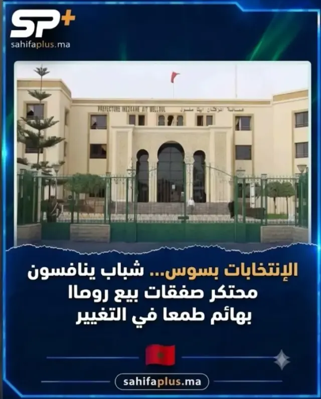 الانتخابات بسوس… شباب ينافسون محتكر صفقات بيع روث البهائم طمعاً في التغيير