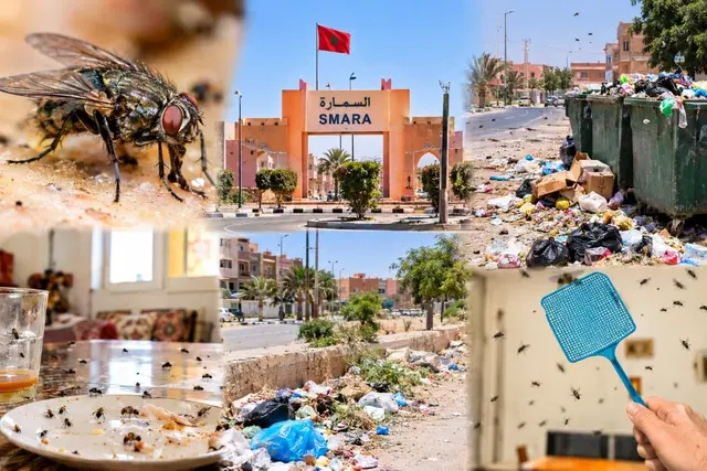 السمارة تختنق تحت أسراب الذباب  من يتحمل مسؤولية حماية صحة السكان ونظافة المدينة؟